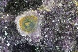 Beautiful Amethyst Geode/Cluster - Custom Metal Stand #97767-4